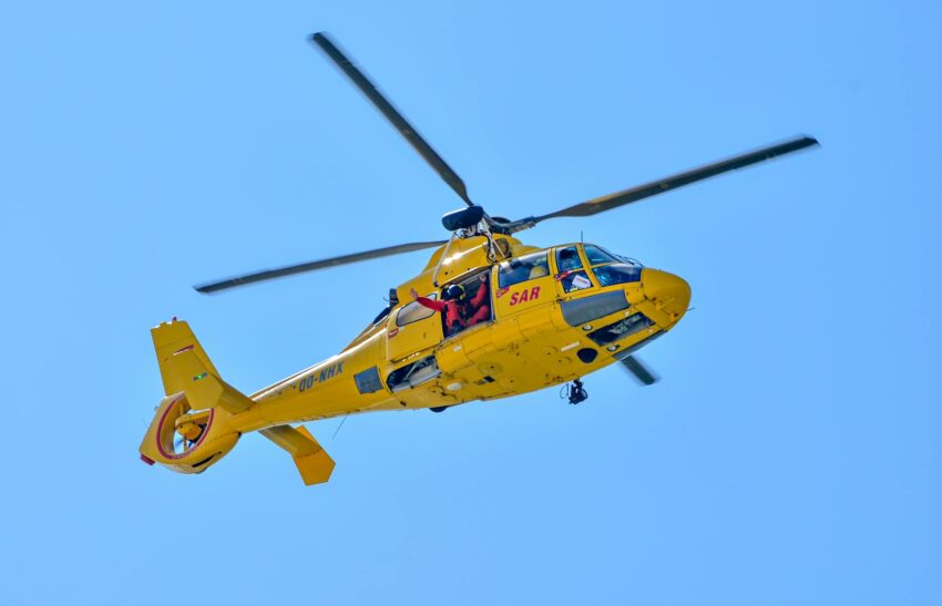 Fetițele dispărute din Mureș găsite în viață de pădurar