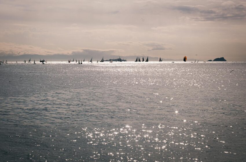 Franța și SUA: Poziții Divergente în Strâmtoarea Ormuz