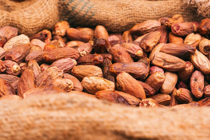 România Exportă Pește și Carne de Pui în China Prin Acord Nou