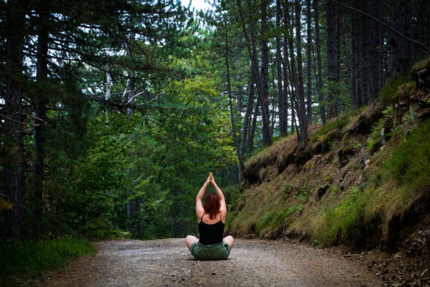 Apiterapia din România: o metodă naturală pentru sănătate