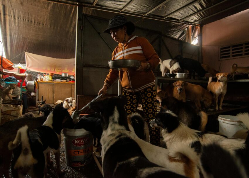 Kim Jong Un vizitează magazin de animale de companie cu fiica sa