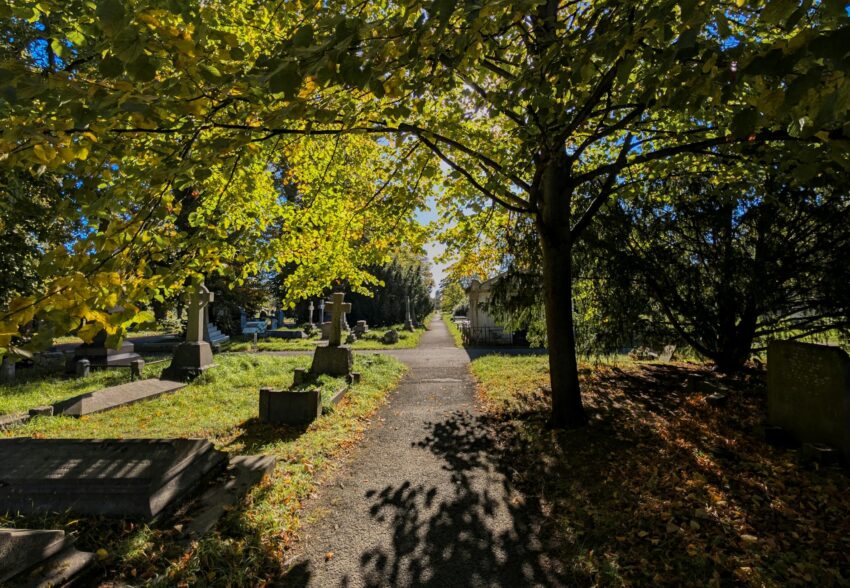 Vandalizarea Cimitirului Evreiesc din Reghin, Mureș