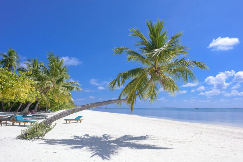 Destinația de vis: șezlongul la un euro în Vietnam