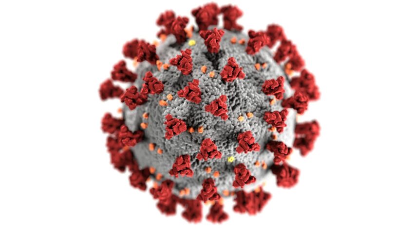Hantavirus: Cazuri și Precizări oficiale în România