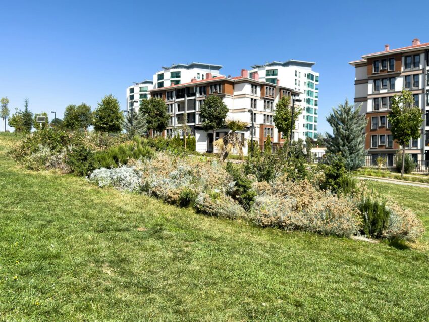 Parcul Liniei din București, cel mai lung parc liniar din Europa