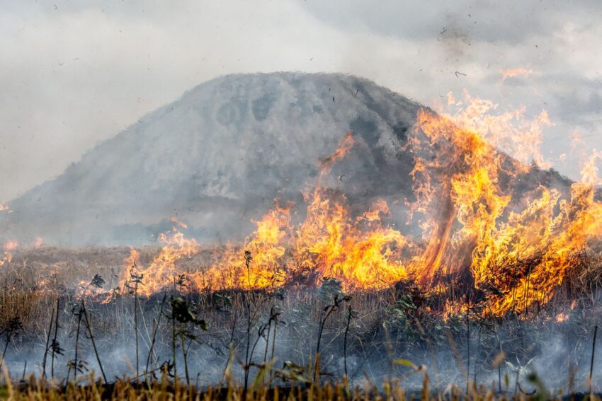 Recordul de temperatură în Danemarca: 36,6 grade Celsius