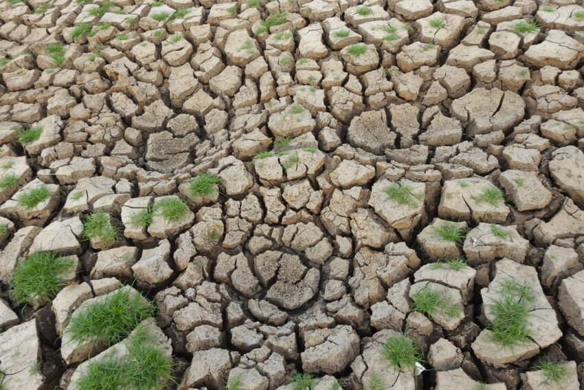 Valul de căldură din Europa: o consecință directă a schimbărilor climatice