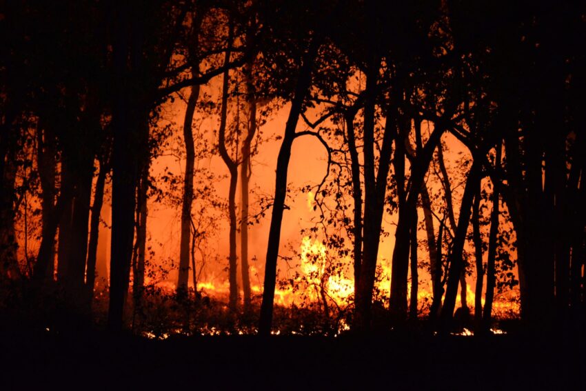 Incendiu de vegetație în Puglia: evacuări masive pe coasta Mării Adriatice